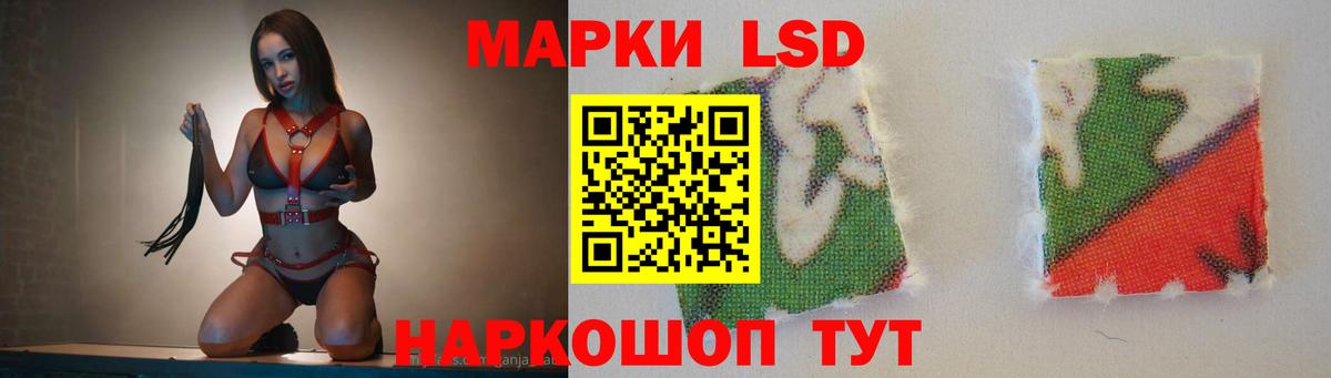 Курчатов  ЛСД экстази кислота  Лсд 25 экстази ecstasy  Вход с VPN 