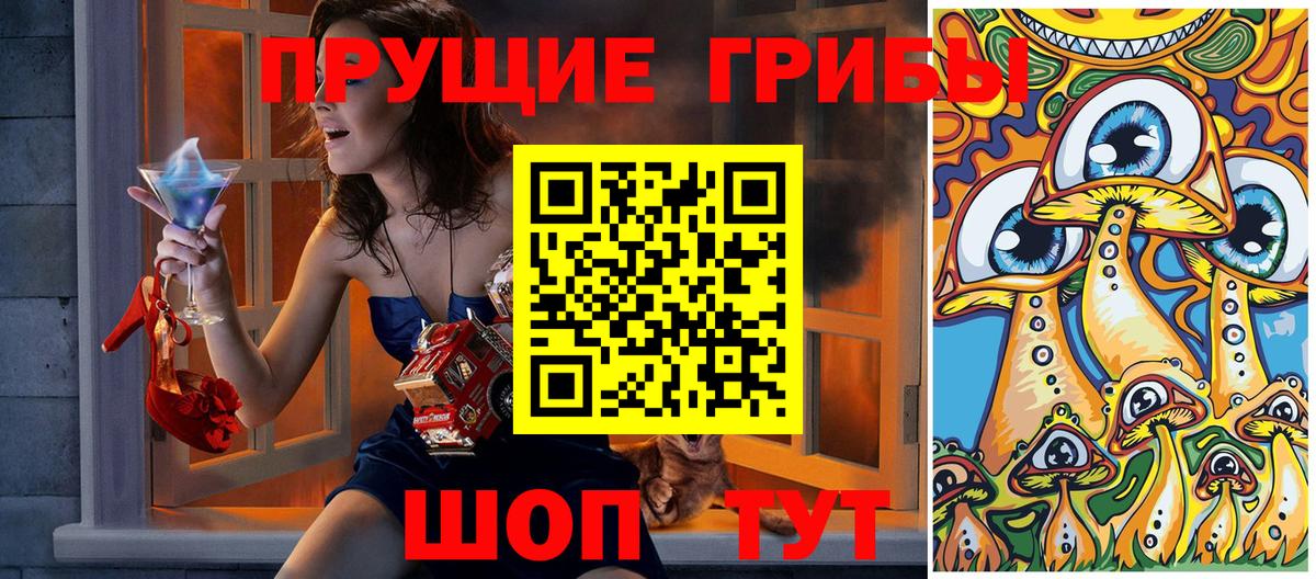 Курчатов  Галлюциногенные грибы Psilocybe  Псилоцибиновые грибы мицелий  Вход с VPN 